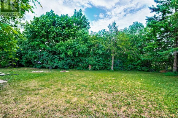 Lower Level - 12 Moonbeam Grove, Toronto, ON, photo 3