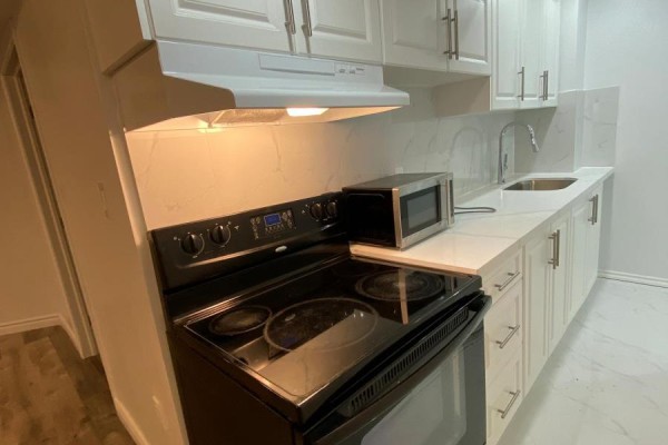 Lower Level - 123 Mildenhall Place, Whitby, ON, photo 2