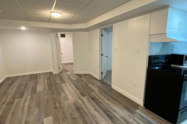 Lower Level - 123 Mildenhall Place, Whitby, ON L1M0E4 Photo 5
