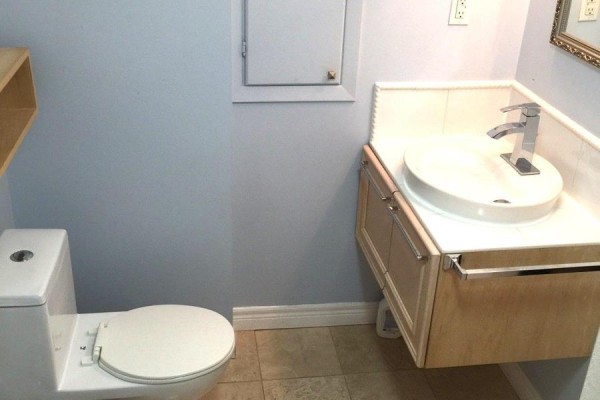 Lower Level - 91 Cameron Avenue, Toronto, ON M2N1E3 Photo 3
