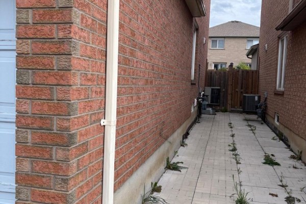 Lower Level - Bsmnt Only - 5243 Heatherleigh Avenue, Mississauga, ON, photo 2