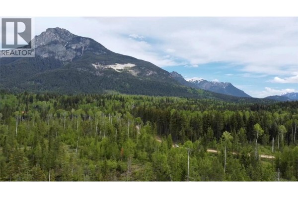 Ls15 Adolph Johnson Road, Golden, BC V0A1H0 Photo 2