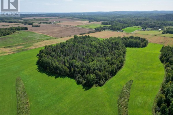 Lt 1 Con 1 Pcl 24222 Dymond, Temiskaming Shores, ON, photo 3