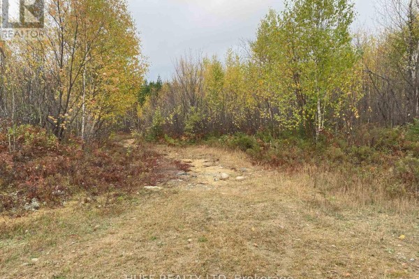 Lt 1 Con 6 54r-6390 Lot 1 Con 6 Marter Twp Road, Englehart, ON P0J1H0 Photo 5