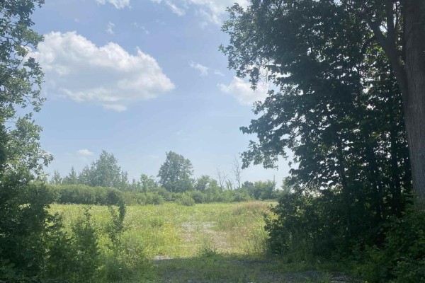 Lt 1 Harmony Road, North Dundas, ON K0C2K0 Photo 4