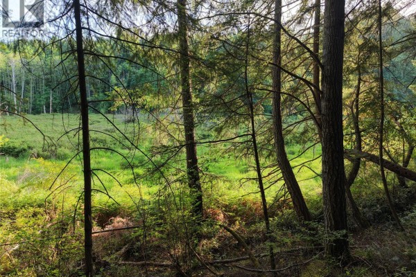 Lt 1 Ingram Rd, Nanaimo, BC V9X1W8 Photo 5