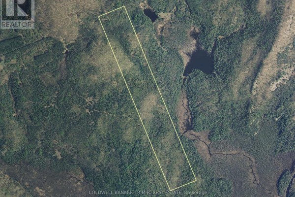 Close-up aerial view of a long, narrow undeveloped property with dense tree cover. - Lt 11 Con 16 Holland Lake Road, Bancroft