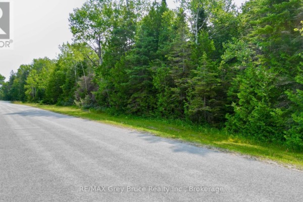 Lt 11 Spry Road, Northern Bruce Peninsula, ON N0H1W0 Photo 3