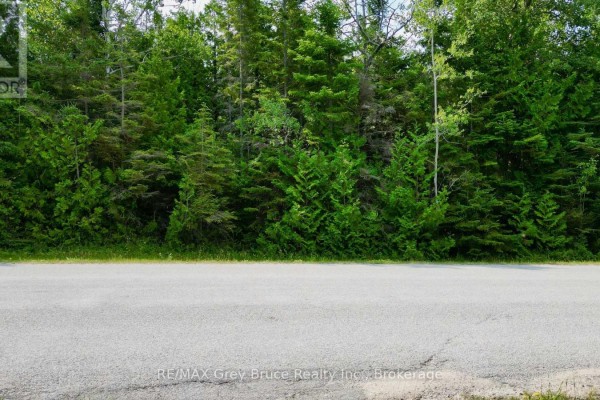 Lt 11 Spry Road, Northern Bruce Peninsula, ON N0H1W0 Photo 4
