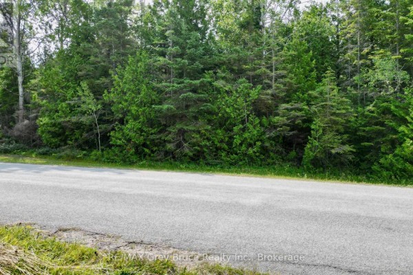 Lt 11 Spry Road, Northern Bruce Peninsula, ON N0H1W0 Photo 5