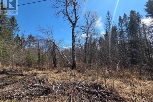 Lt 14  Part 1 Hazelwood Road, Papineau Cameron, ON P0H1V0 Photo 4