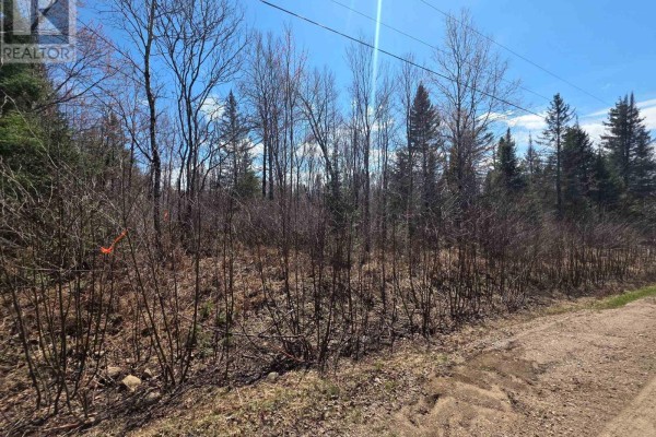Lt 14 Part 2 Hazelwood Road, Papineau Cameron, ON, photo 3