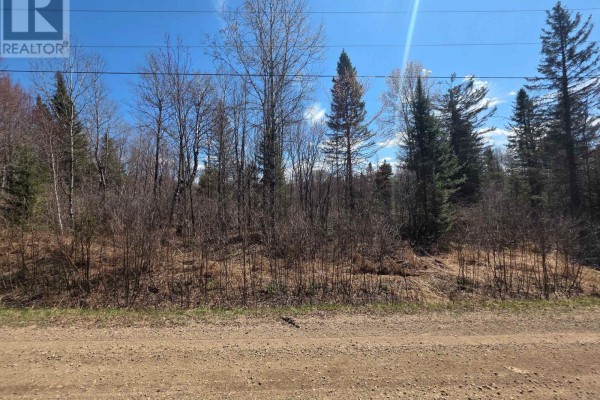 Lt 14 Part 2 Hazelwood Road, Papineau Cameron, ON P0H1V0 Photo 4