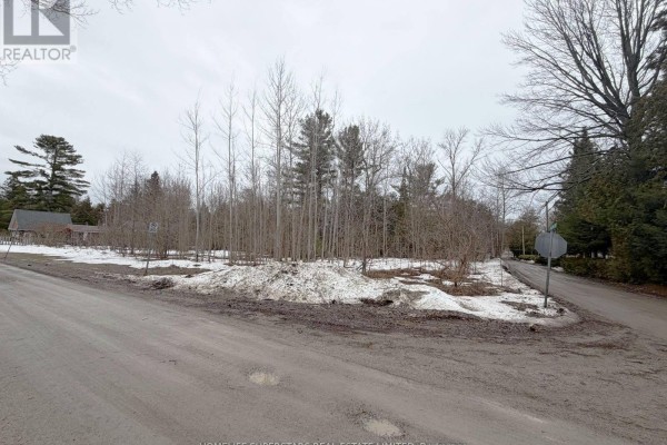 Lt 147 Pilon Road, Tiny, ON L0L2J0 Photo 4