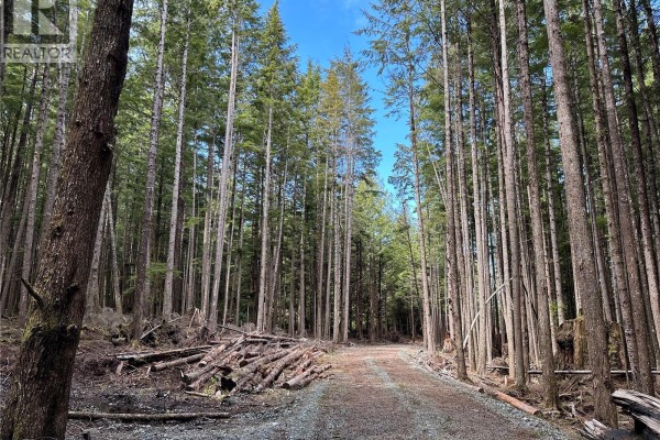 Lt 15 Mitchell Bay Rd, Malcolm Island, BC V0N3E0 Photo 4