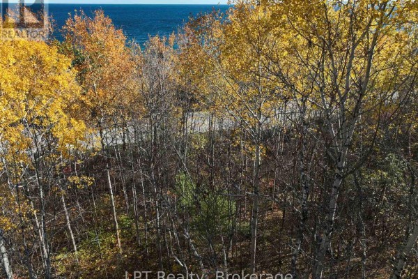 Aerial view of the lake and surrounding autumn-colored trees - Lt 15 Plan 834 Grey Road 1, Georgian Bluffs