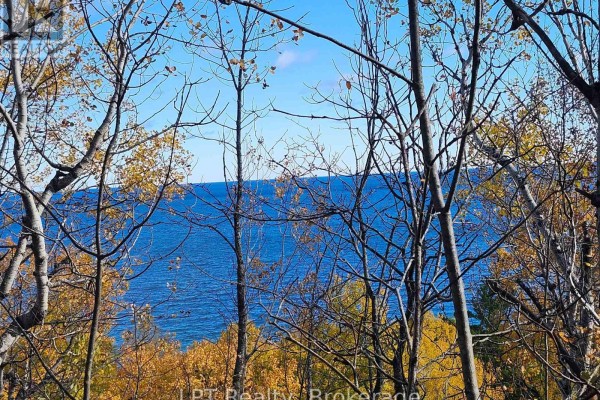 Lake view through trees with vibrant yellow leaves - Lt 15 Plan 834 Grey Road 1, Georgian Bluffs