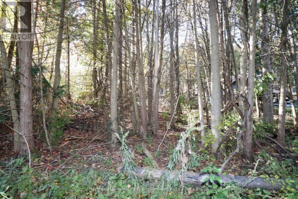 Lt 16 Sunsmile Lane, Tweed), ON K0K3J0 Photo 3