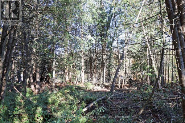 Lt 16 Sunsmile Lane, Tweed), ON K0K3J0 Photo 4