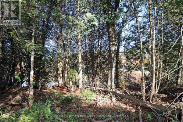 Lt 16 Sunsmile Lane, Tweed), ON K0K3J0 Photo 5