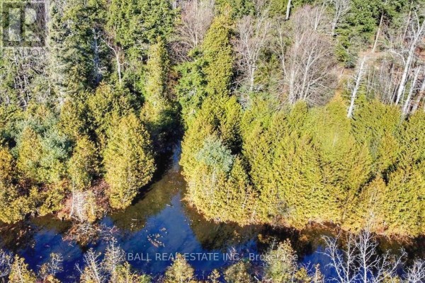 Lt 19-20 Fire Route 67, Havelock Belmont Methuen, ON K0L1Z0 Photo 4