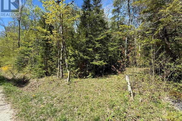 Lt 191 - 193 Mallory Beac H Road, South Bruce Peninsula, ON, photo 3