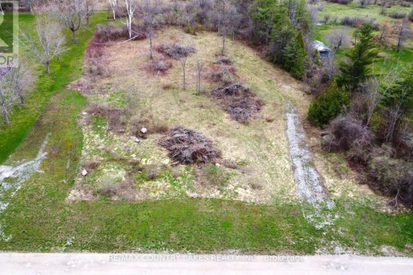 Lt 2 Redcap Beach Lane, Kawartha Lakes, ON K0M2B0 Photo 3