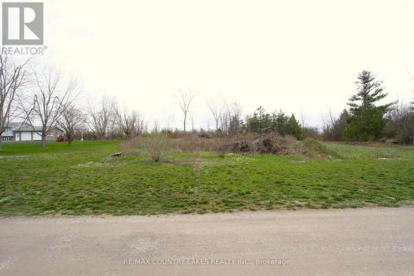 Lt 2 Redcap Beach Lane, Kawartha Lakes, ON K0M2B0 Photo 4