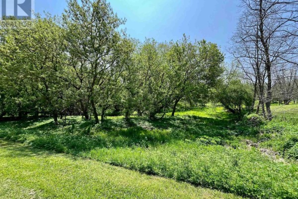 Lt 214 215 Albert Street, Howick, ON N0G1X0 Photo 2