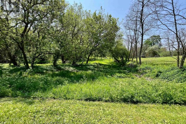Lt 214 215 Albert Street, Howick, ON N0G1X0 Photo 3