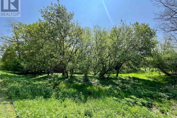 Lt 214 215 Albert Street, Howick, ON N0G1X0 Photo 5