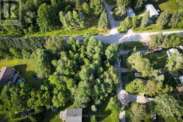 Aerial view showing a paved road cutting through a densely wooded area with houses nearby. - Lt 23 Basswood Drive, Kawartha Lakes