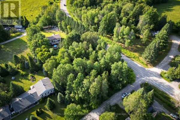 Overhead view of a rural property surrounded by mature trees and adjacent homes. - Lt 23 Basswood Drive, Kawartha Lakes