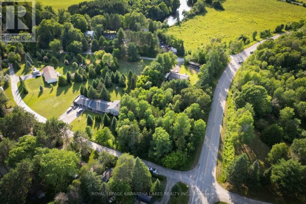 Aerial perspective of a property nestled among trees, with a road and open fields. - Lt 23 Basswood Drive, Kawartha Lakes