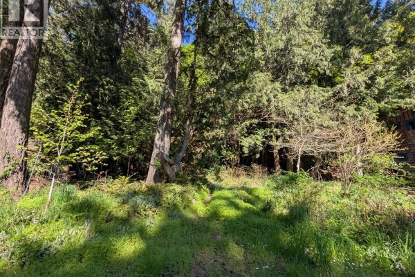 Sunlit pathway through a dense forest with mature evergreen trees. - Lt 24 Harrison Way, Gabriola Island