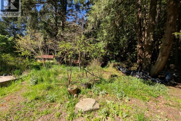 Overgrown green space with scattered trees, plants, and various outdoor items. - Lt 24 Harrison Way, Gabriola Island