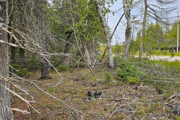 Lt 255 Pedwell Pt. Drive, Northern Bruce Peninsula, ON N0H2R0 Photo 4
