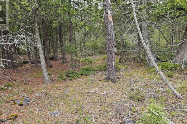 Lt 255 Pedwell Pt. Drive, Northern Bruce Peninsula, ON N0H2R0 Photo 5