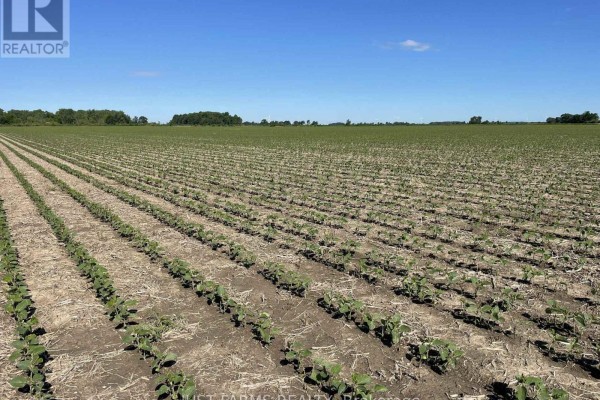 Lt 26&27 Third Concession Line, Chatham Kent, ON, photo 3