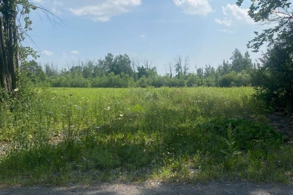 Lt 3 Harmony Road, North Dundas, ON K0C2K0 Photo 2