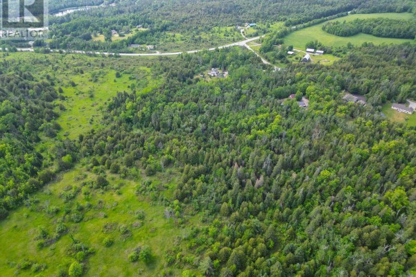 Lt 32 Rosco Lane, Kawartha Lakes, ON K0M1N0 Photo 3