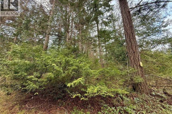 Lt 37 Dirksen Rd, Gabriola Island, BC V0R1X2 Photo 4