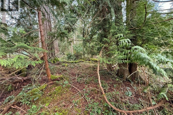 Lt 37 Dirksen Rd, Gabriola Island, BC V0R1X2 Photo 5