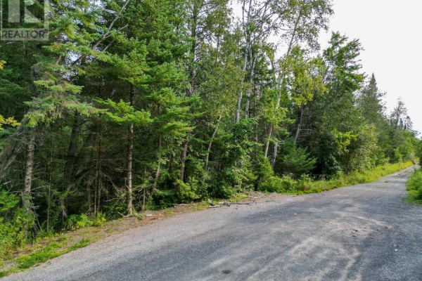 A gravel road surrounded by dense green coniferous trees, leading into the distance. - Lt 4 Dutch Line Road W, Trent Lakes