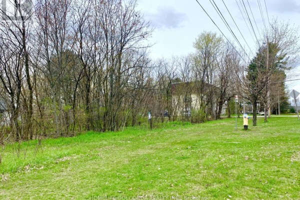 Lt 46 Phillip Street, Gravenhurst), ON P1P1S6 Photo 4