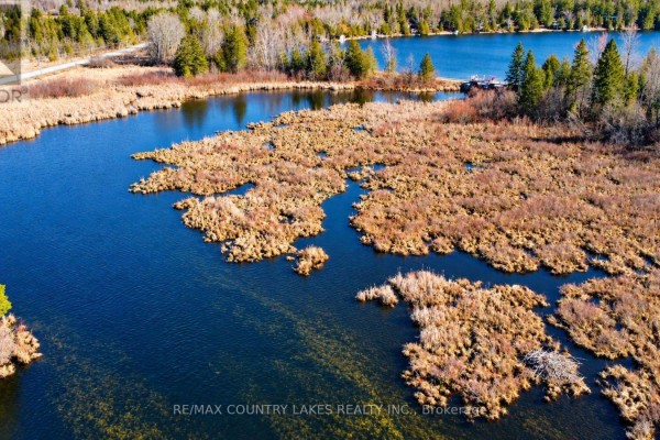 Lt 5 Victoria Road, Kawartha Lakes, ON K0M2B0 Photo 4