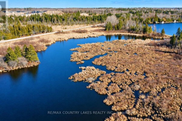 Lt 5 Victoria Road, Kawartha Lakes, ON K0M2B0 Photo 5