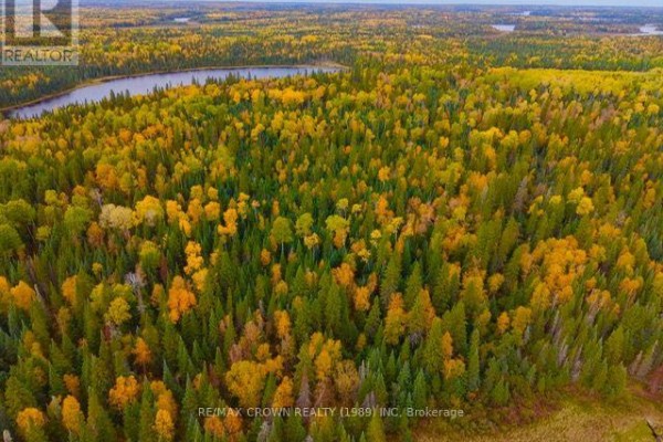 High-angle shot of a remote forest in autumn, featuring a variety of evergreen and deciduous trees. - Lt 7 Hanlan Township, Hearst