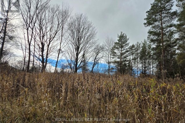 Lt 8 Ws Highway 6, Chatsworth, ON, photo 2