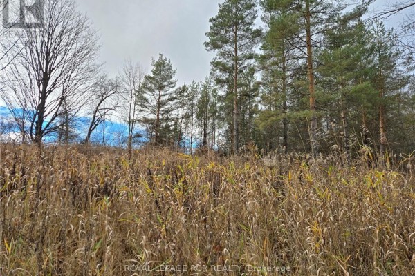 Lt 8 Ws Highway 6, Chatsworth, ON, photo 3